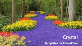  Presentation with flower dome in singapore - PPT theme with flower bed keukenhof the netherlands background and a violet colored foreground