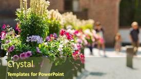  Presentation with street - PPT layouts featuring flower-bed-on-the-street background and a tawny brown colored foreground