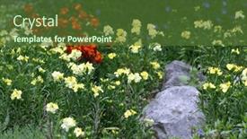  Presentation with alpine - 