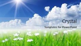  Presentation with blue flower bulb field - Cool new presentation with flower blue sky and sun backdrop and a light blue colored foreground