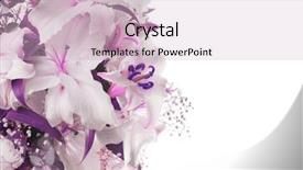  Presentation with lily flower - Presentation design featuring flower bouquet background lilac lily background and a lemonade colored foreground