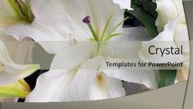  Presentation with lily flower - Beautiful presentation featuring flower bouquet background lily backdrop and a light gray colored foreground
