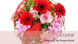  Presentation with purple heart - Presentation theme consisting of flower-bouquet-with-pink-roses background and a coral colored foreground
