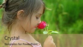  Presentation with rose flower - Amazing presentation theme having little girl smelling a red backdrop and a coral colored foreground