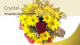  Presentation with chrysanthemum - Audience pleasing slides consisting of flower-chrysanthemum-golden-daisy-bouquet backdrop and a yellow colored foreground