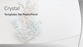  Presentation with leaves flat lay - Amazing PPT theme having flower-composition-made-of-dried backdrop and a white colored foreground