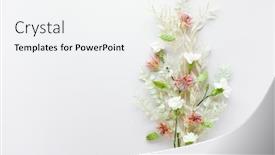  Presentation with leaves flat lay - Beautiful presentation featuring flower-composition-made-of-dried backdrop and a white colored foreground