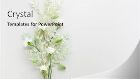  Presentation with leaves flat lay - PPT theme having flower-composition-made-of-dried background and a white colored foreground