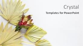  Presentation with leaves flat lay - Amazing presentation design having flower-composition-made-of-dried backdrop and a sky blue colored foreground