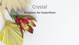  Presentation with protea flower - Colorful presentation enhanced with flower-composition-made-of-dried backdrop and a sky blue colored foreground