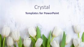  Presentation with flower vintage - Slides featuring flower-composition-with-beautiful-white background and a sky blue colored foreground