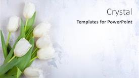  Presentation with flower vintage - Theme consisting of flower-composition-with-beautiful-white background and a sky blue colored foreground