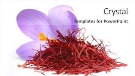  Presentation with food saffron - PPT layouts featuring flower crocus and dried saffron background and a white colored foreground