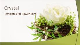  Presentation with decor - Presentation theme consisting of flower decor background and a sky blue colored foreground