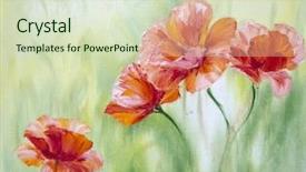  Presentation with poppies - Presentation having flower drawing - poppies in the morning oil background and a soft green colored foreground
