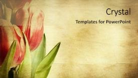  Presentation with flower vintage - PPT theme having flower drawing - vintage tulips background and a yellow colored foreground