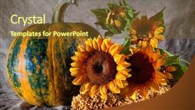  Presentation with sunflowers - Theme consisting of flower fall - bright still life with pumpkin background and a tawny brown colored foreground