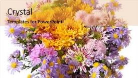  Presentation with bunch - Slide deck featuring flower fall - colorful chrysanthemums bunch background and a gold colored foreground