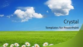  Presentation with conceptual framework - Audience pleasing PPT theme consisting of flower farme - springtime conceptual image backdrop and a  colored foreground