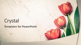  Presentation with flower vintage - Presentation design with flower festival - red tulips on aged background background and a cream colored foreground