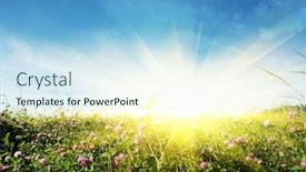  Presentation with blue flower - Audience pleasing presentation theme consisting of flower field blue sky and sun backdrop and a sky blue colored foreground