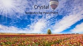  Presentation with colorful green corn field - Cool new slide set with flower field bright southern sun backdrop and a light blue colored foreground