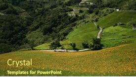  Presentation with taiwan - Slides having flower-field-of-beautiful-orange background and a tawny brown colored foreground