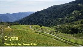  Presentation with taiwan - Presentation theme having flower-field-of-beautiful-orange background and a tawny brown colored foreground