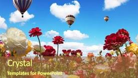  Presentation with balloons blue - Cool new slide deck with flower field south of israel backdrop and a red colored foreground