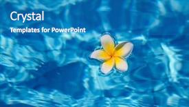  Presentation with blue flower bulb field - Audience pleasing PPT layouts consisting of flower floating in blue water backdrop and a teal colored foreground