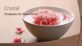 Presentation with floating - PPT theme consisting of flower floating in white bowl spa background background and a lemonade colored foreground
