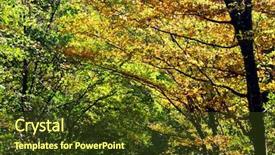  Presentation with forest company - Colorful presentation enhanced with flower foliage - forest autumn colors backdrop and a  colored foreground