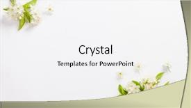  Presentation with white flower frame - PPT layouts featuring flower frame - beautiful cherry blossoms background and a white colored foreground