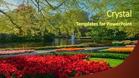  Presentation with blooming flower animated - Cool new presentation theme with flower gardens lisse the netherlands backdrop and a tawny brown colored foreground