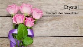  Presentation with red roses rose garden - Colorful PPT theme enhanced with flower gift - garden pink roses bouquet backdrop and a  colored foreground