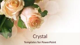  Presentation with border flower - Slides featuring flower greeting card - beautiful roses border sepia toned background and a lemonade colored foreground