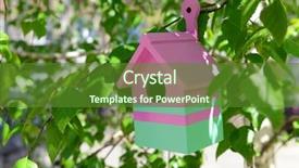  Presentation with outdoors - Colorful PPT theme enhanced with flower hoya - birdhouse in garden outdoors backdrop and a  colored foreground