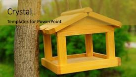  Presentation with outdoors - Amazing PPT layouts having flower hoya - birdhouse in garden outdoors backdrop and a  colored foreground