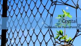  Presentation with challenges - Audience pleasing PPT theme consisting of flower hoya - breaking through challenges backdrop and a  colored foreground