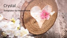  Presentation with rustic - Presentation theme featuring flower hoya - light heart on rustic wooden background and a  colored foreground