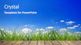  Presentation with wood - Theme enhanced with flower hoya - wood textured backgrounds background and a  colored foreground