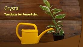  Presentation with plastic - Audience pleasing presentation design consisting of flower-in-a-plastic-pot backdrop and a  colored foreground