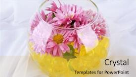  Presentation with fabric - Amazing PPT theme having  backdrop and a  colored foreground