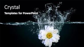  Presentation with water flow in pipe - PPT theme enhanced with flower-in-water-splash-mixed background and a  colored foreground