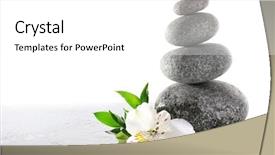  Presentation with lily flower - Theme enhanced with flower isolated on white background and a white colored foreground