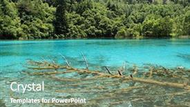  Presentation with tree - Slides with flower lake lake in jiuzhaigou background and a gray colored foreground
