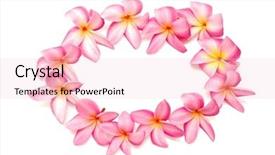  Presentation with circle - Colorful presentation enhanced with flower lei - frangipani in a circle backdrop and a lemonade colored foreground