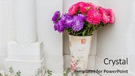  Presentation with colorful flower - Theme having flower market bright vivid colorful fresh flowers background and a light gray colored foreground