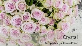  Presentation with colorful flower - Cool new theme with flower market bright vivid colorful fresh flowers backdrop and a light gray colored foreground