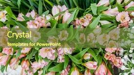  Presentation with colorful flower - PPT theme featuring flower market bright vivid colorful fresh flowers background and a tawny brown colored foreground